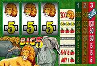 Big 5 Slot Game