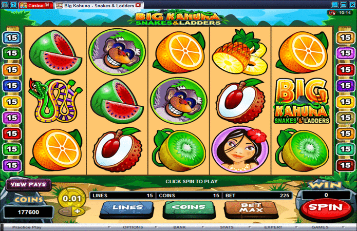 Big Kahuna Snakes and Ladders Slot Machine