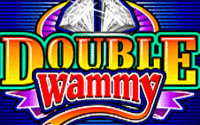 Double Wammy Slot