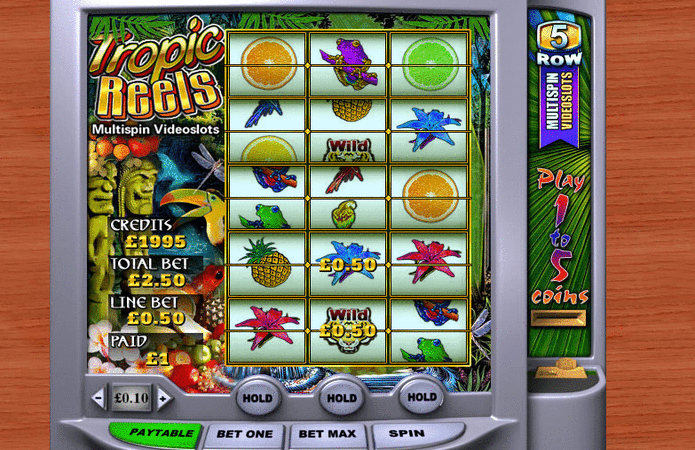Tropic Reels slot game