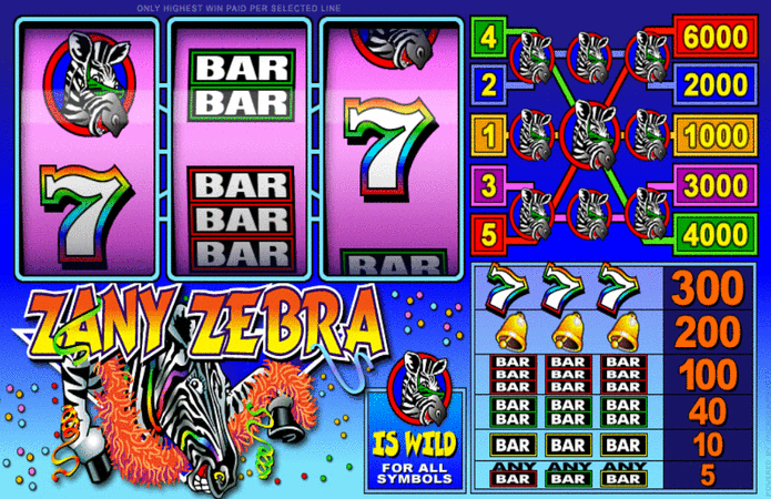 Zany Zebra Slot