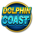 Dolphin Coast Slot Game